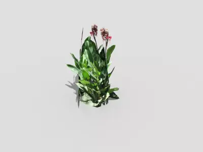 Low poly Plant Low-poly 3D model