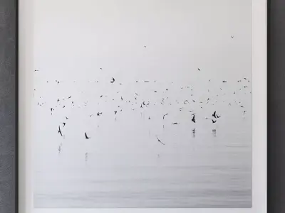 RH NATHAN DEHART UGANDA BIRDS 3D model