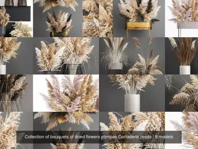 Collection of bouquets of dried flowers pampas Cortaderie reeds