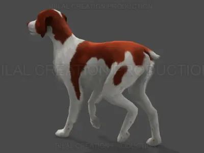 Brittany Dog Animated 3D model