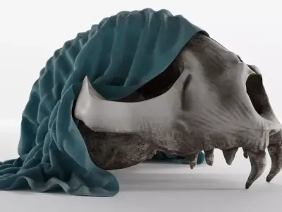 Skull bone model 3D model