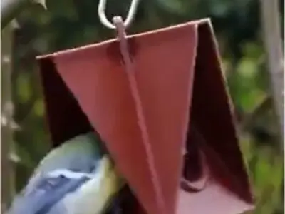 Bird feeder set 3D print model