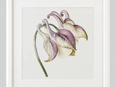 Paintings with flowers 3D model