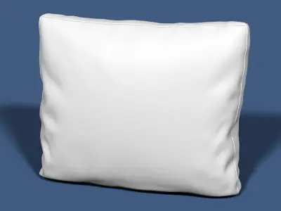 Pillow 01 3D model