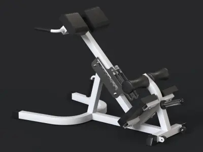 Hyperextension exercise machine 3D model