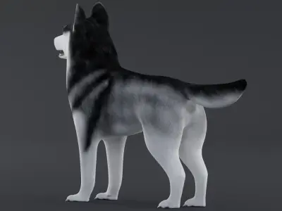 Dog Siberian Husky Low Poly Model Game AR VR Low-poly 3D model