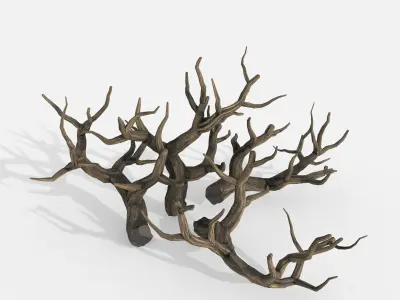 Aquarium Snag Banches V2 3D model