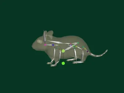 Common Degu Rat Rodents Low-poly 3D model