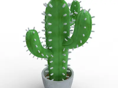 Potted Cactus 3D model