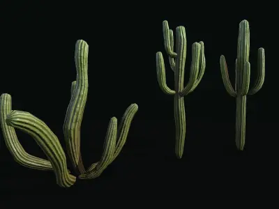 Stylized cactus large low poly  Low-poly 3D model