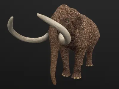 Mammut americanum Low-poly 3D model
