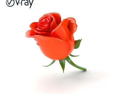 Rosa Orange Rose with Red Tips model pack Low-poly 3D model