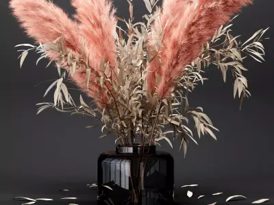  Bouquet dry pampas and Eucalyptus 3D model