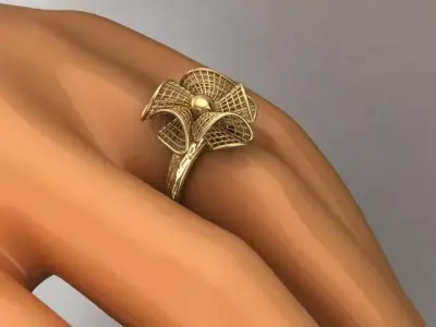 ring fiber 3D print model