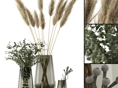 Plants in Echasse Vases 3D model