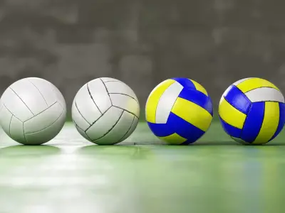 Volleyball set with 4 types material 3D model