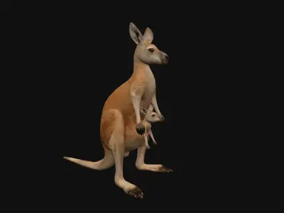 animated kangaroo with baby Low-poly 3D model