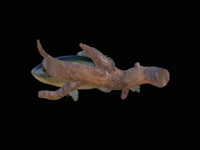 BASS UNDERWATER STATUE ON THE WALL DETAILED TEXTURE 3D print model