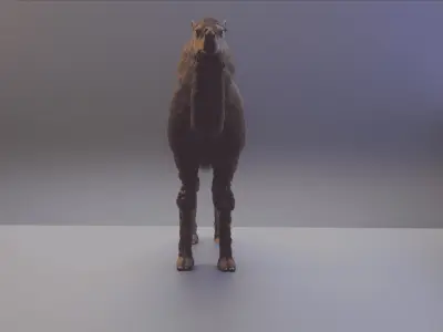 Realistic Camel Low-Poly 3D Model Low-poly 3D model