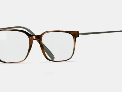 Caleb Eyeglasses in Woodgrain Tortoise with Polished Silver 3D model