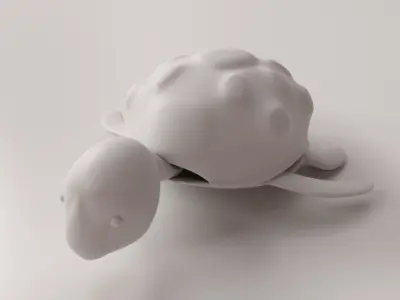 Cartoon Turtle 3D model