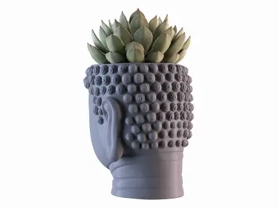 Head Buddha Vase 3D print model