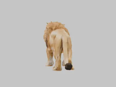 Majestic African Lion Low-poly 3D model