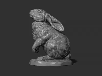  Hare looks up 3D print model