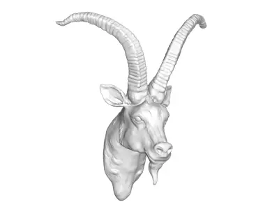 Goat Head   3D model
