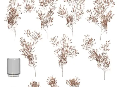 Dry plants set - 3 models 3D model