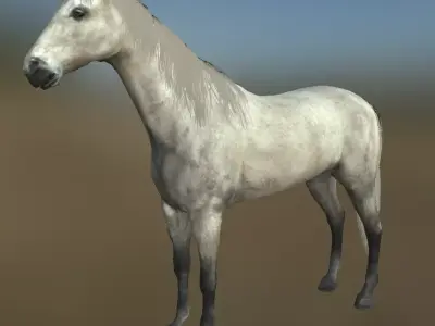 Rigged Horse With Saddle and Various Animation Low-poly 3D model