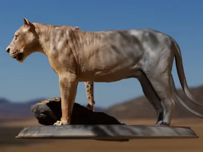 Lion Asset - Digital Model and Textures Low-poly 3D model