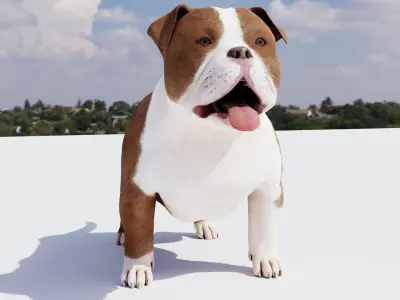 Pitbul Flex 3D model