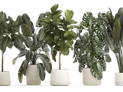 Set of beautiful plants and trees in pots for decoration 1322 3D model