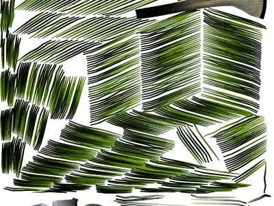 Beaucarnea Recurvata Plant Low-poly 3D model