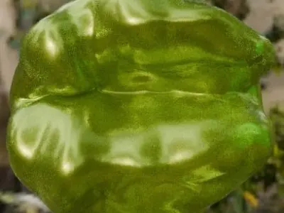 Rock Pack 1 Free low-poly 3D model