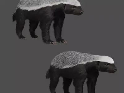 Mellivora Animation - Blender 3D model