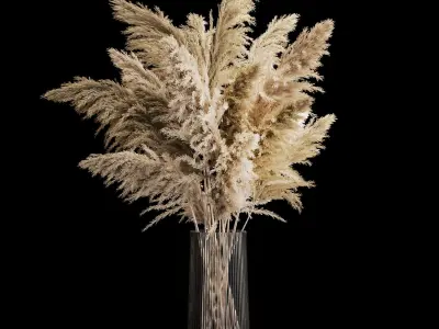 Bouquet Dried Flowers From Pampas Grass In A Vase 3D model