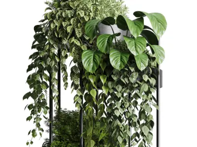 circle stand plant collection Indoor plant metal vase 3D model