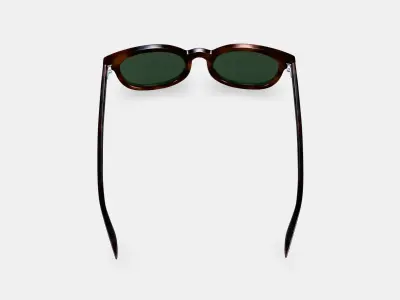 Ryland Sunglasses in Cognac Tortoise 3D model
