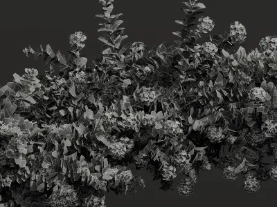 New Plant Ceratostigma Plumbaginoides Bleiwurz Decorative Free 3D model