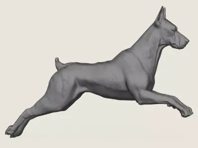 Doberman Dog Running 3D print model