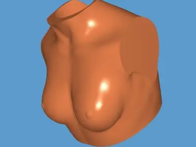 MakeIT Female Bust 3 Piece Top Body Base 3D Model  3D model