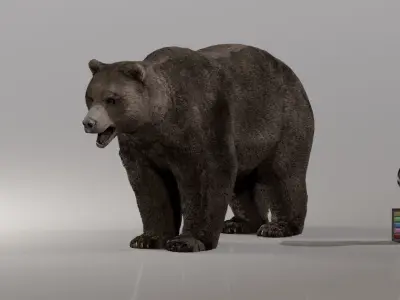 Bear - Rigged Blender 3d model 3D model
