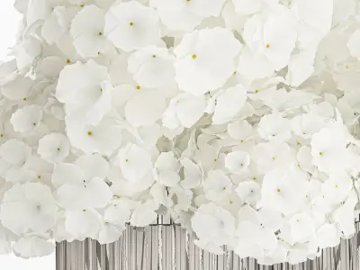 Small bouquet of white hydrangea flowers in a glass vase 362 3D model