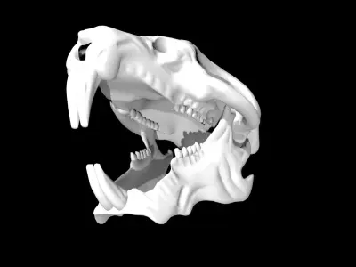 Rat Skull Low-poly 3D model purchase