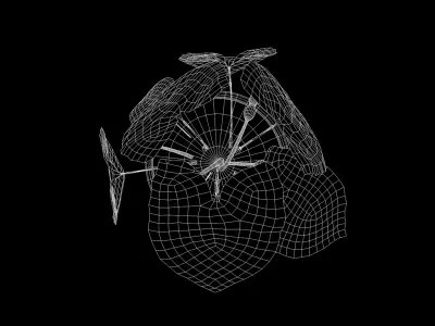 Plant Caladium Biocolor 3D Model 3D model