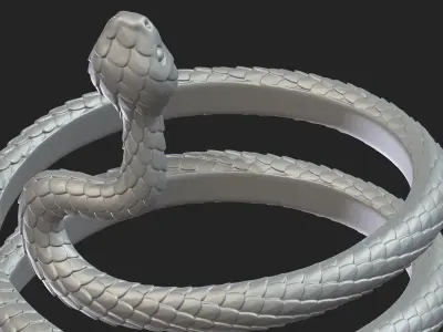 Snake Bracelet 3D print model