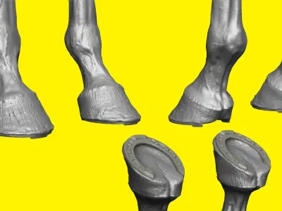 Realistic Horse Basemesh with LOD s 3D model