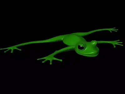 Cartoon Frog 3D model